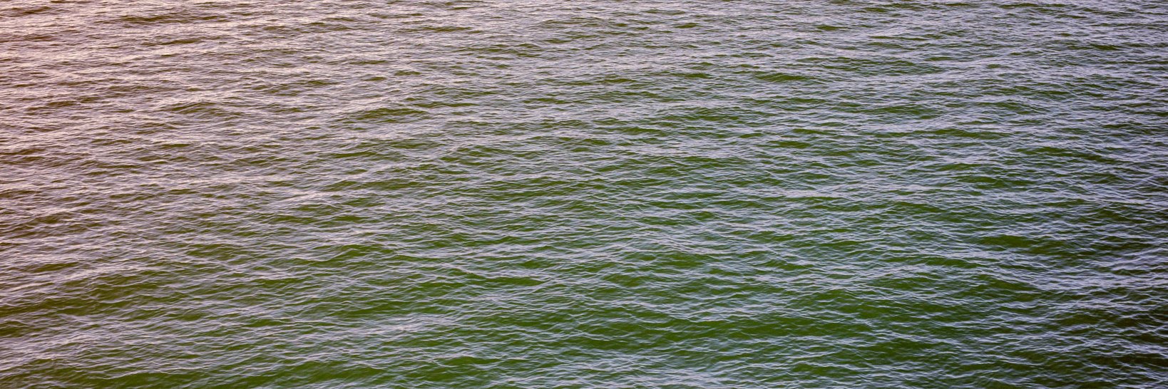 Chris Lanaway banner