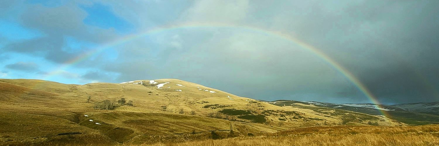 Harris Loves Sticks🌈🌈 banner