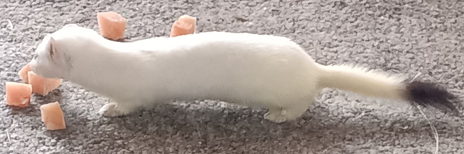 CyndyJ.Stevens🇺🇲 banner