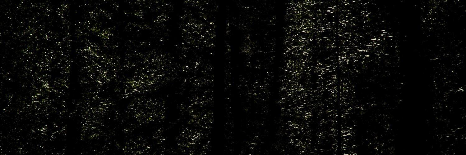 granthazard's profile banner image