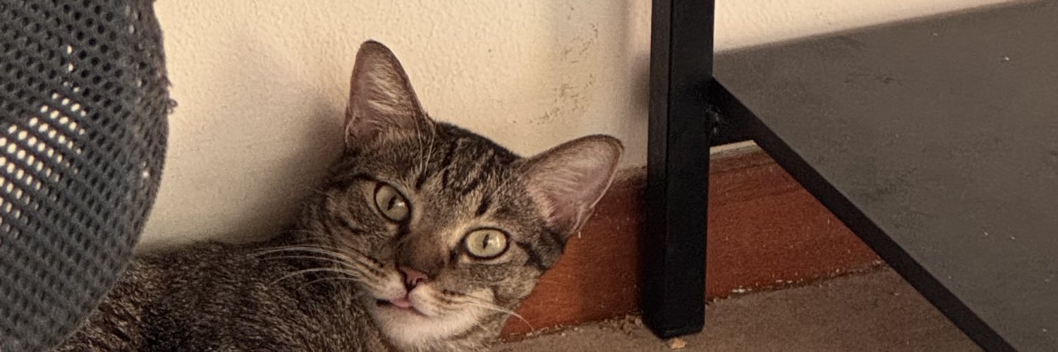 StardustGio's profile banner image