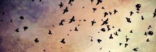 eleni_n4's profile banner image