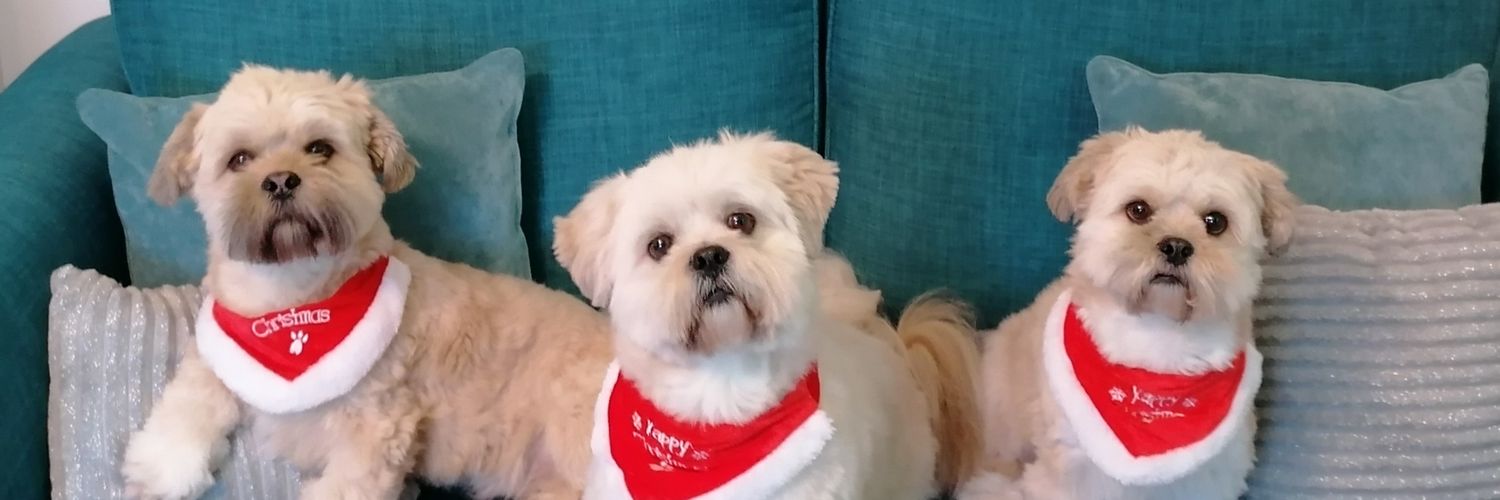 TEDBEAR25's profile banner image