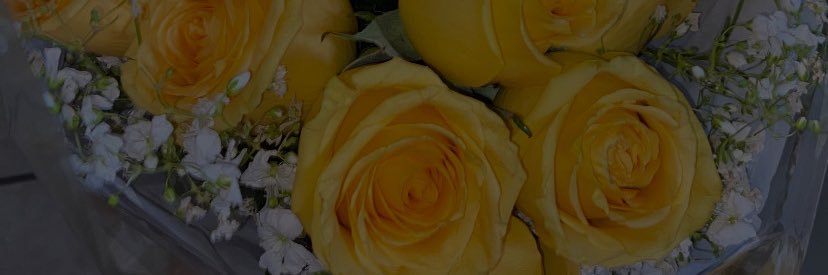 PalomaZrate2's profile banner image