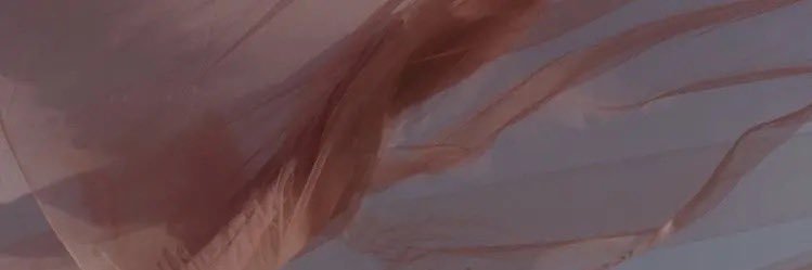 brelovell's profile banner image