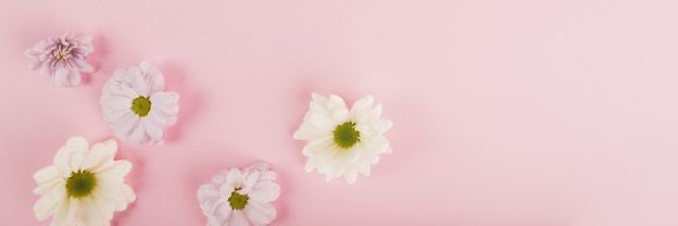 あやぴっぴ🌸*.+ﾟ banner