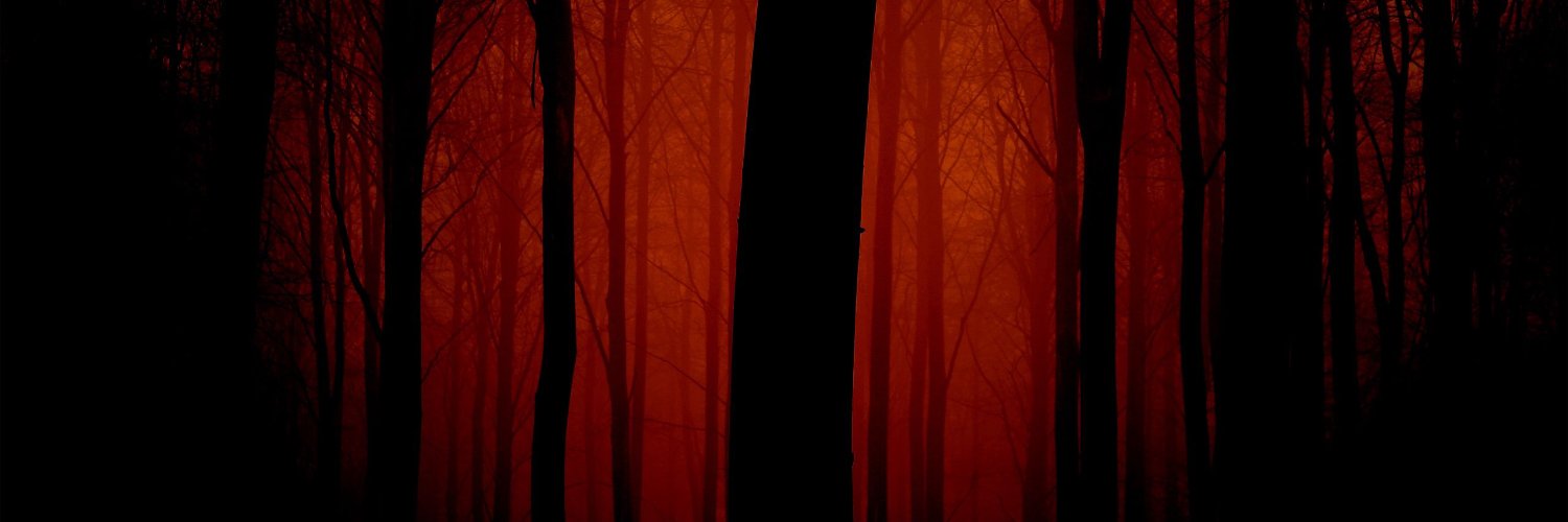 deadlyaccurate's profile banner image