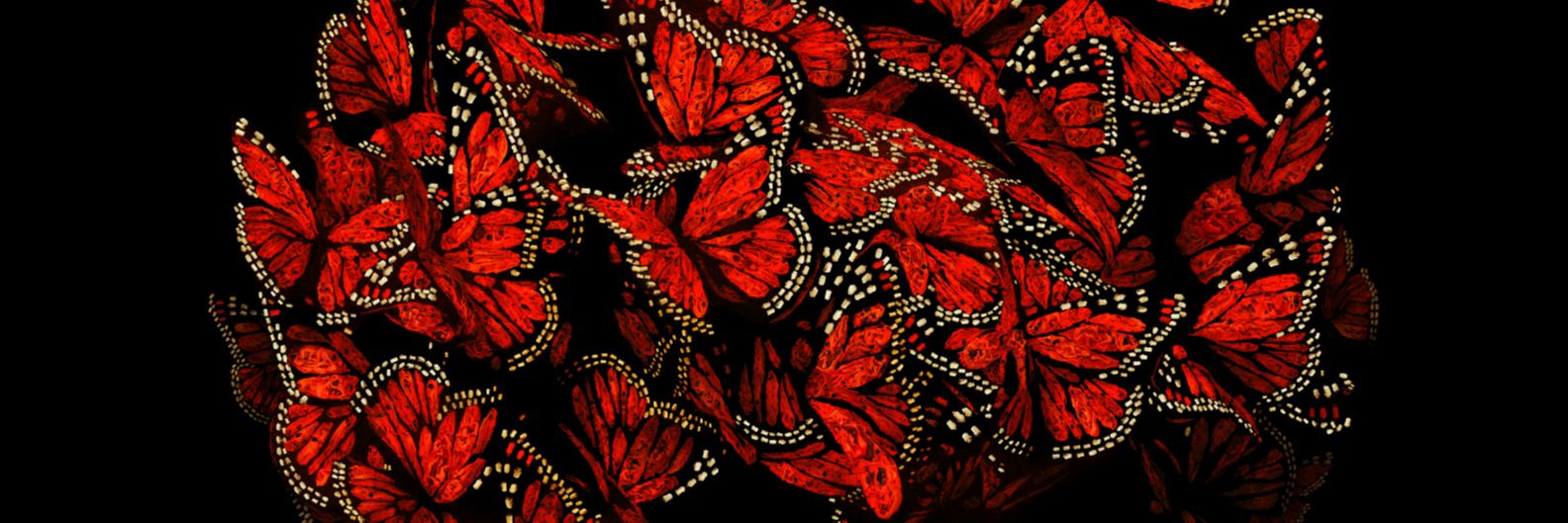 MusicMuse22's profile banner image