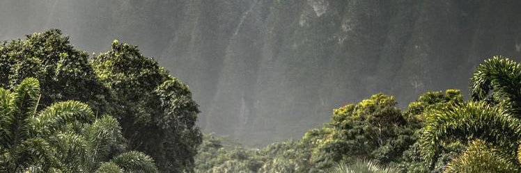 DominikaClo's profile banner image