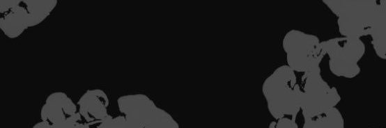 Demi banner