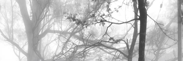mdsahilak Profile Banner