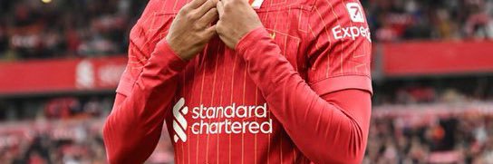 𝓦𝓲𝓵𝓯 banner