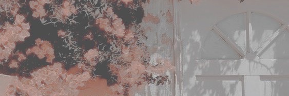 rozflakes's profile banner image