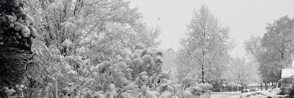 MarshaReese27 Profile Banner