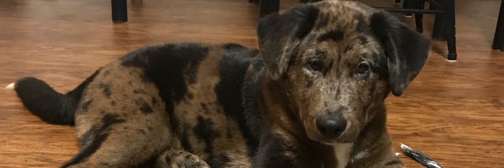 dannyhagh's profile banner image