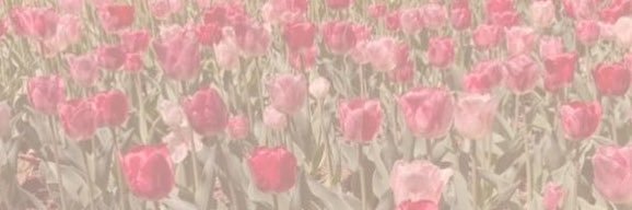marieatdispatch's profile banner image