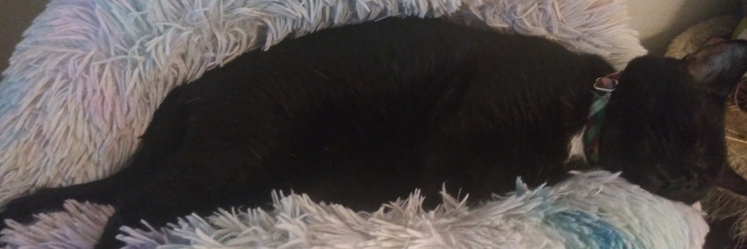 PurrZMamaX2 banner