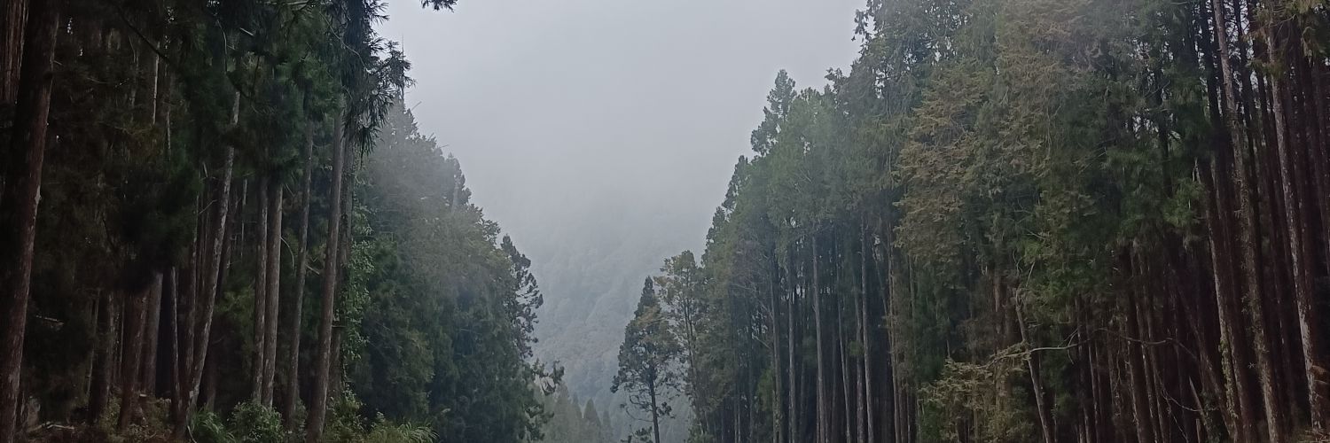 Stylinster's profile banner image