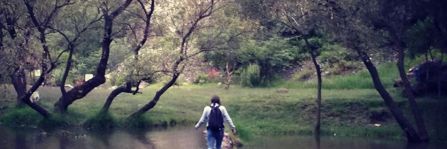 La Chio Morales banner