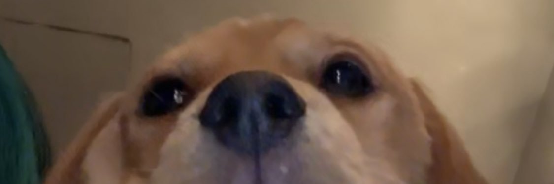 amanthaa's profile banner image