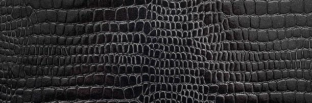 Nicole Adamo ⚡️ banner