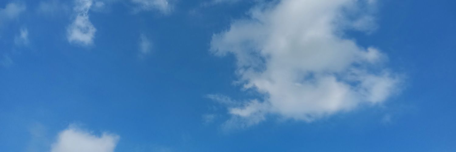 EvaInnani's profile banner image