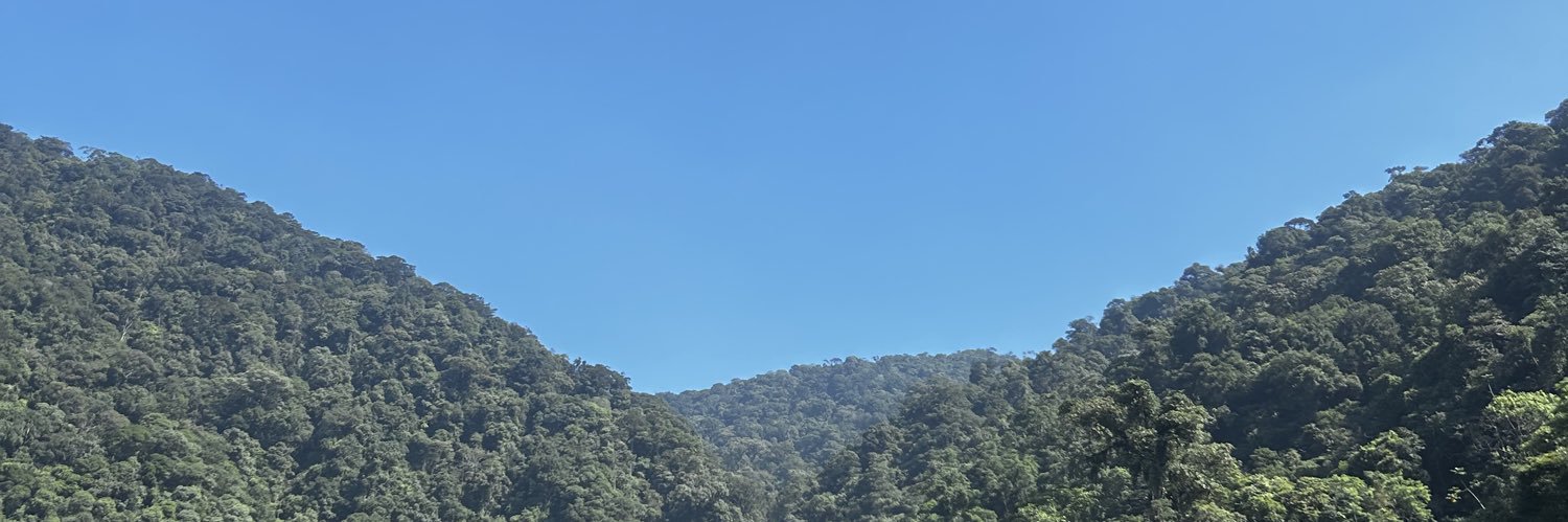 lelisgr's profile banner image