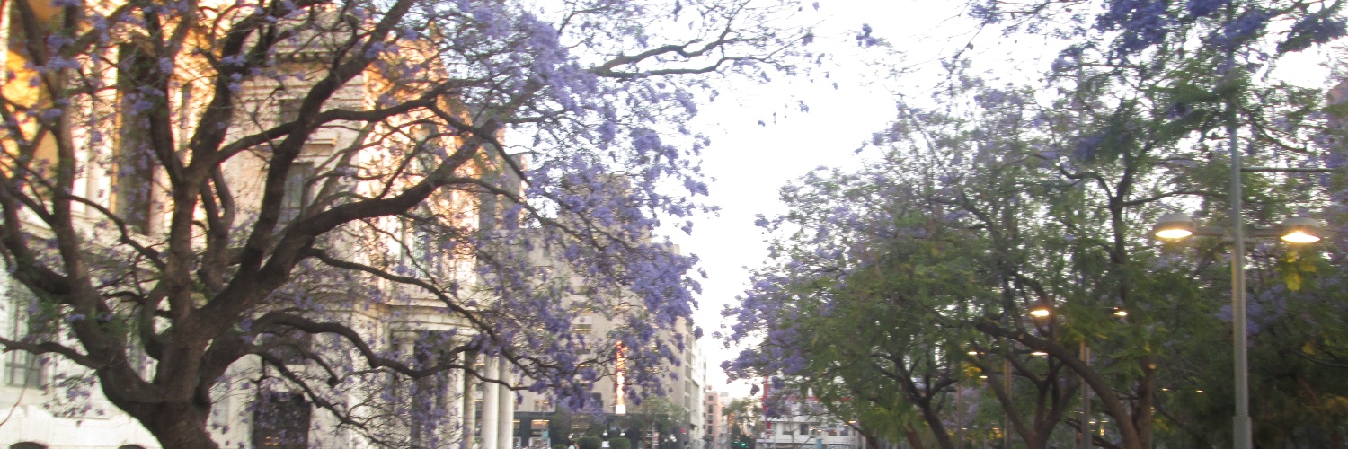 🌷 banner