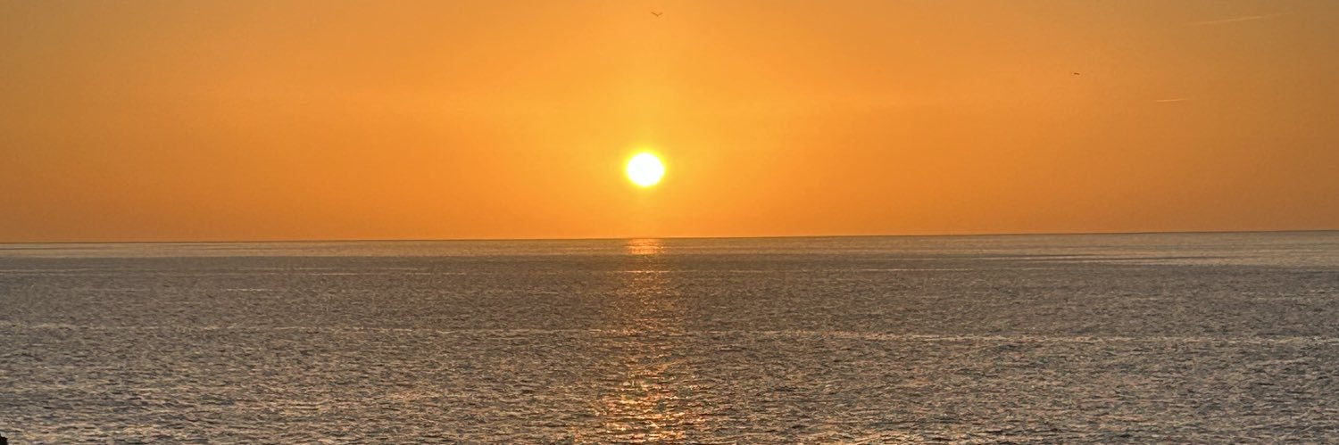 Reichsc's profile banner image