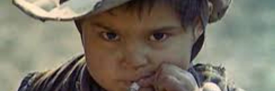 violete jojo leduc #JusticePourSteve banner