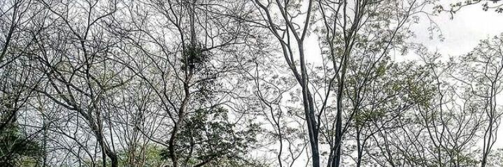 papudodanilo's profile banner image
