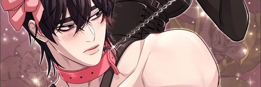jinglybunni's profile banner image