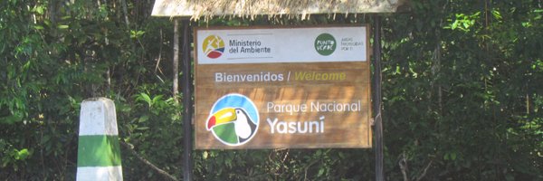 MassDeMarchi Profile Banner