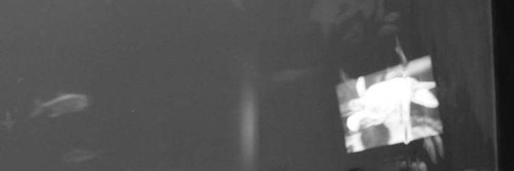 hyunsukaddicted's profile banner image