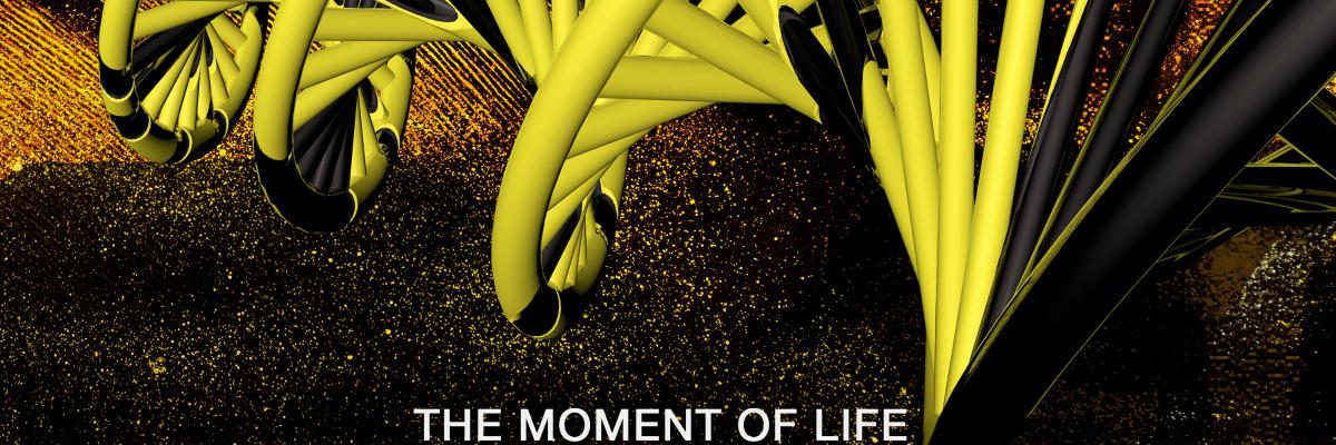 David Noreña banner