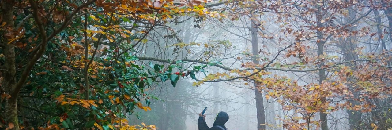 CatilinaCatilina🤦🏻‍♀️ banner