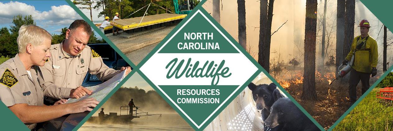 NCWildlifeintheField banner