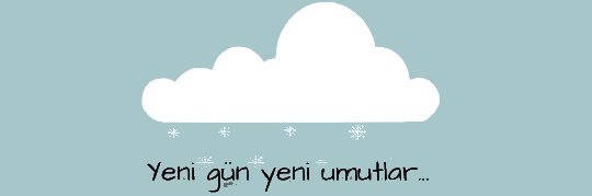Gulins banner