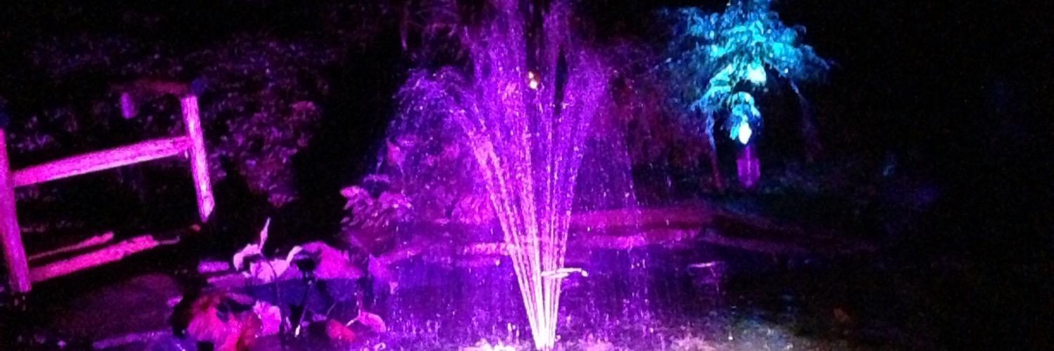 Eliza  Follows banner