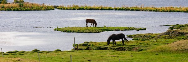 Tom Artin Photography Profile Banner