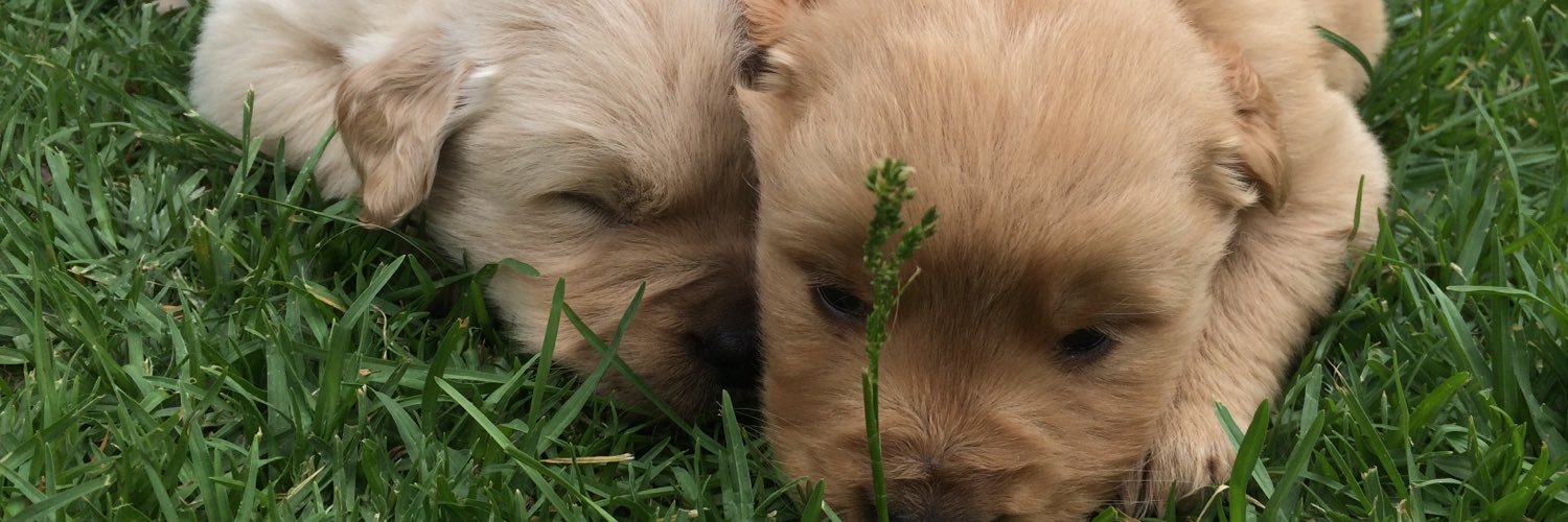 CamilaValag's profile banner image