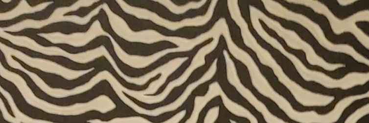 zenttollo's profile banner image