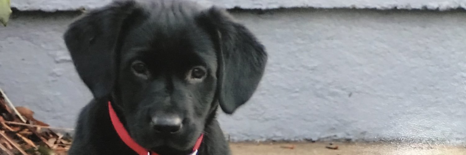 sydniiizzle_'s profile banner image