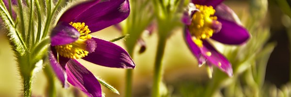 HEARTCommGroup Profile Banner