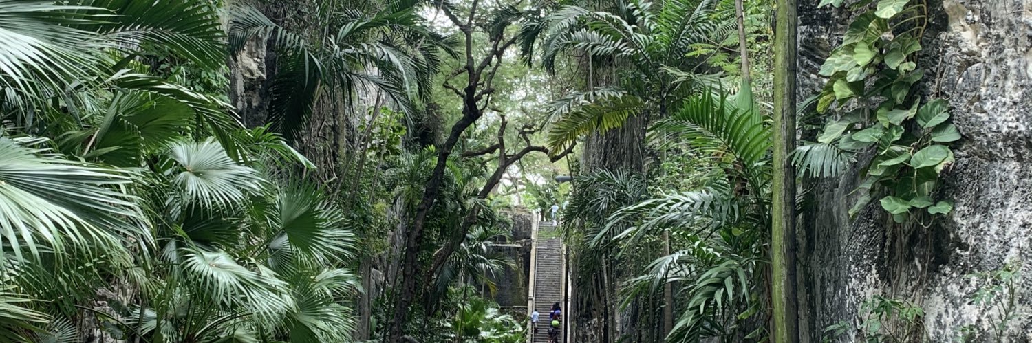 Bridget McIntosh banner