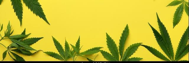 Lrik29🕊⚕⚓🎧™ banner