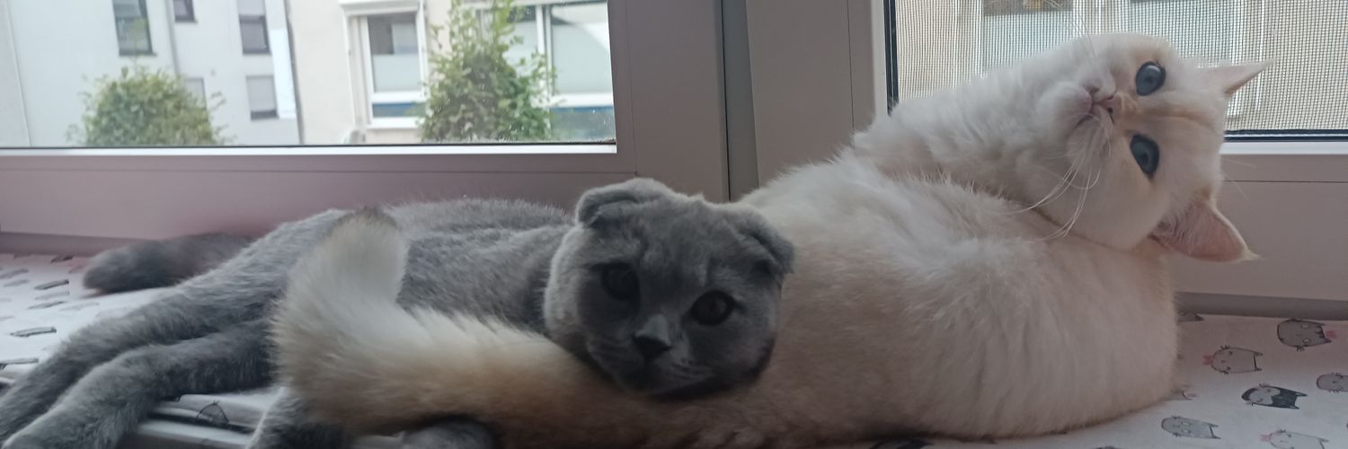 vermutlich_kyra's profile banner image