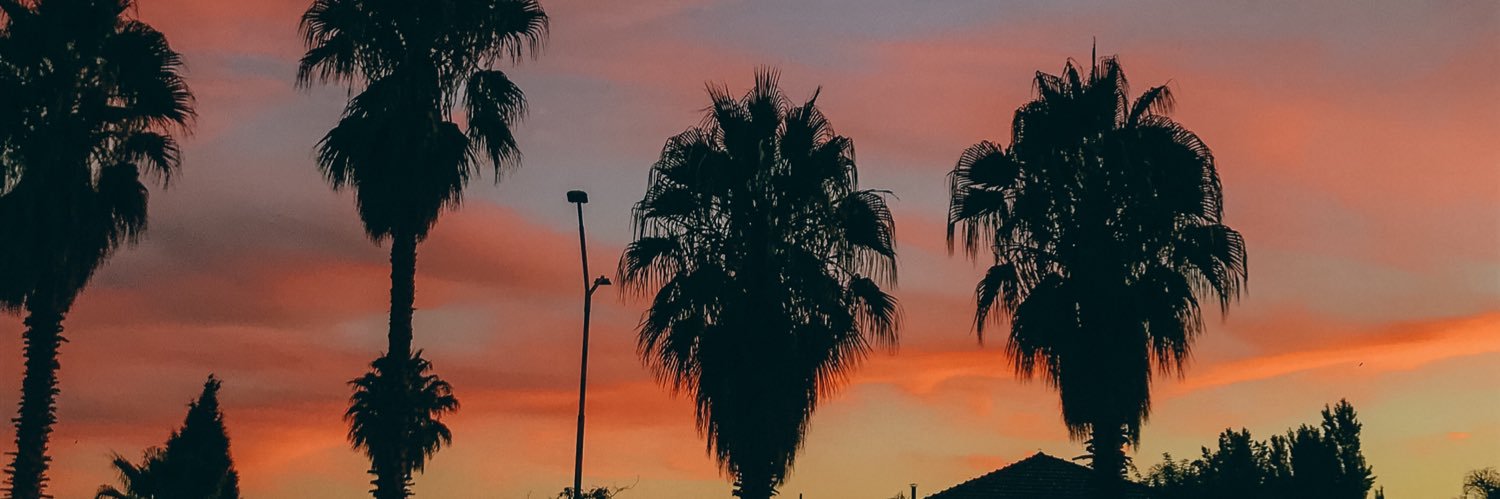 paulipyl's profile banner image