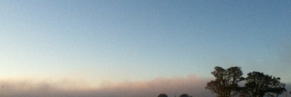 walledgdn Profile Banner