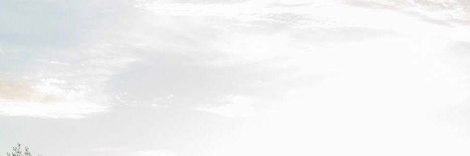 ⋆. 𐙚˚࿔ Tiwi 𝜗𝜚˚⋆ banner